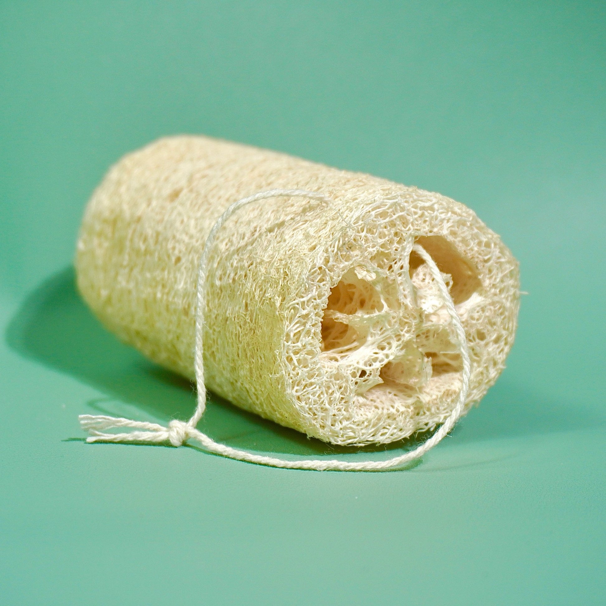 Eponge luffa (ou loofah) | Cuisine, entretiéponge naturelleUneViePlusSaine