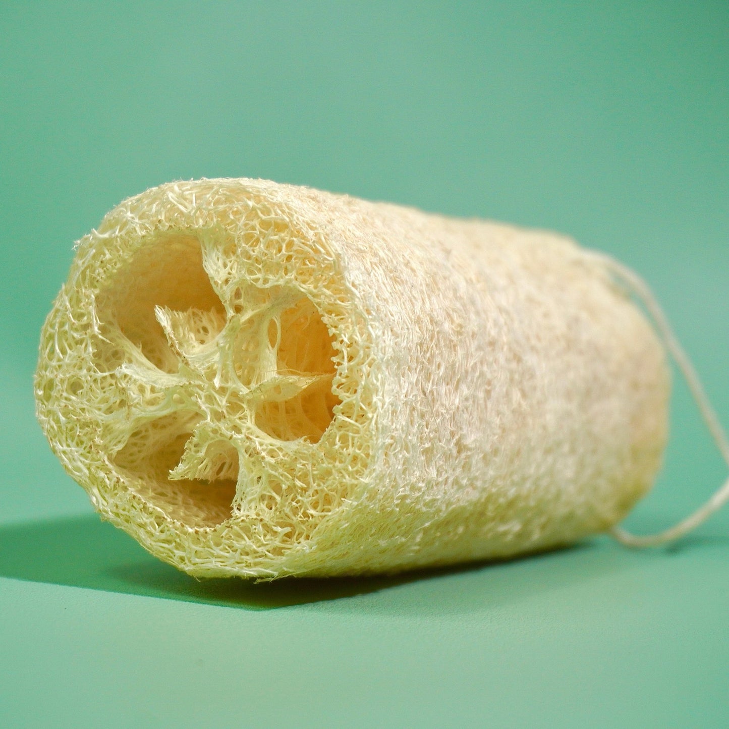 Eponge luffa (ou loofah) | Cuisine, entretiéponge naturelleUneViePlusSaine