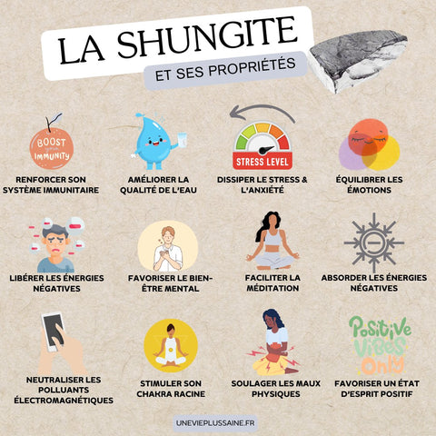 Pierre roulée | Shungite | Pierre de protectionpendentifUneViePlusSaine